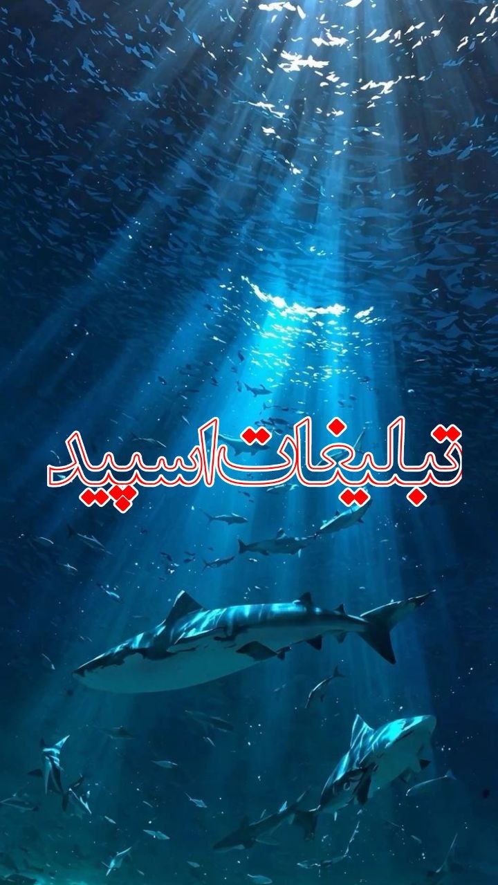 ༄✨⃟⃘ٜٖٜ⃕ ‌‌꯭ ‌ 🅚🅗🅐🅢   ⃘ٜٖٜ⃕⃟ -࿐ (1)