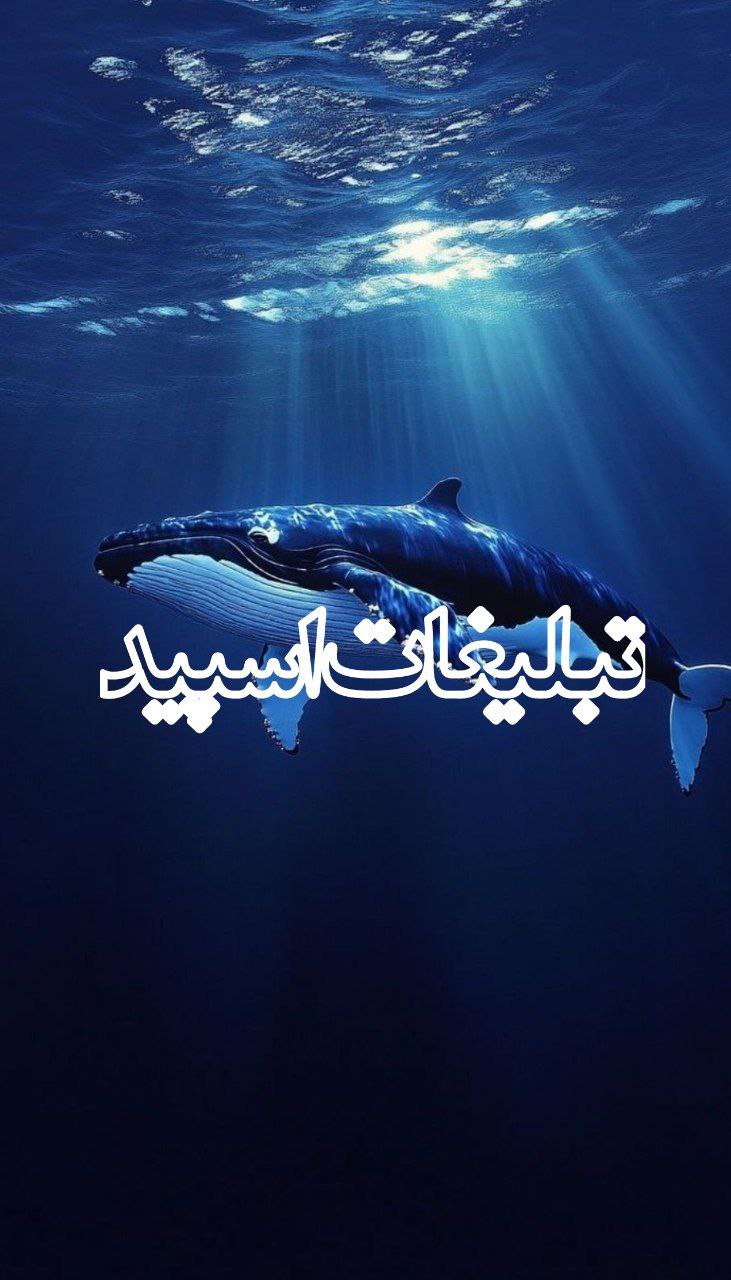 ꧁༒الاچیق دوستانه༒꧂