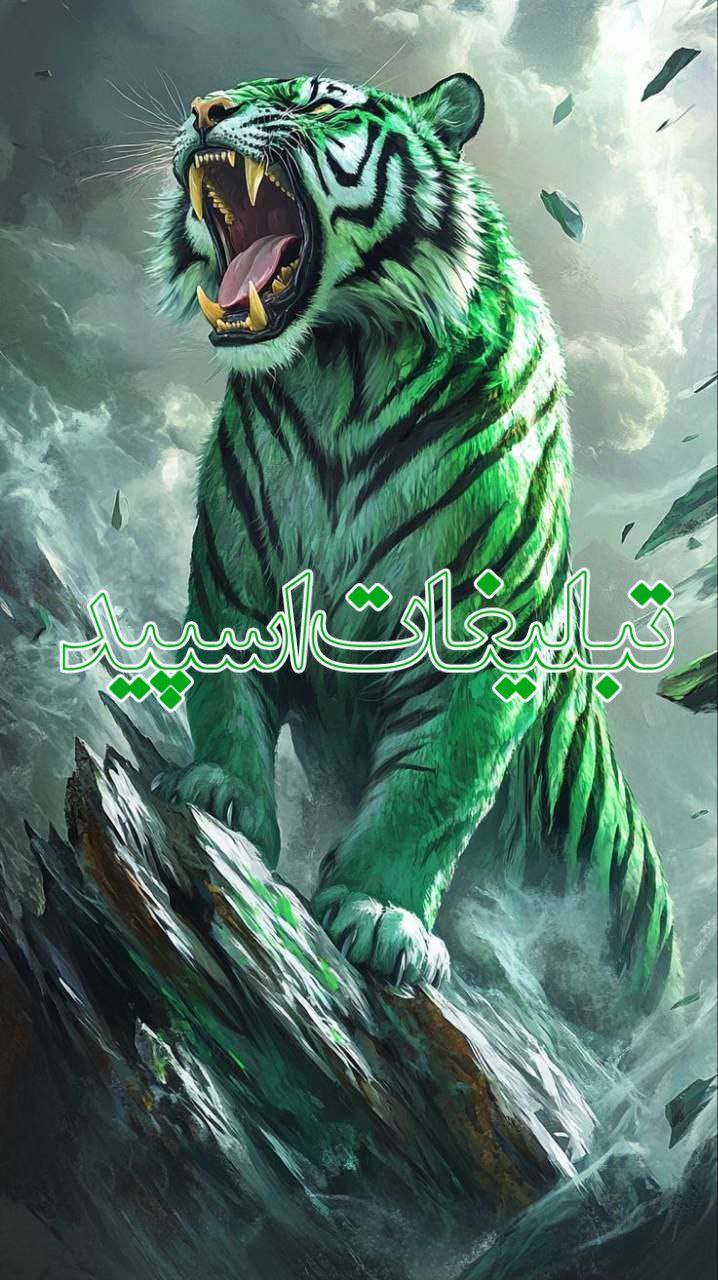 گروه خودمونی (2)