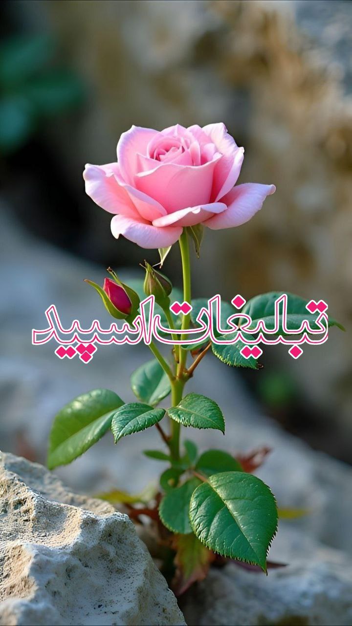 𓄂ꪰ𝑬𝑴𝑷𝑬𝑹𝑨𝑻𝑶𝑹 ⋗͙͛⋖͙͛ 𝑬𝑺𝑯𝑮𝑬٭𓆃0