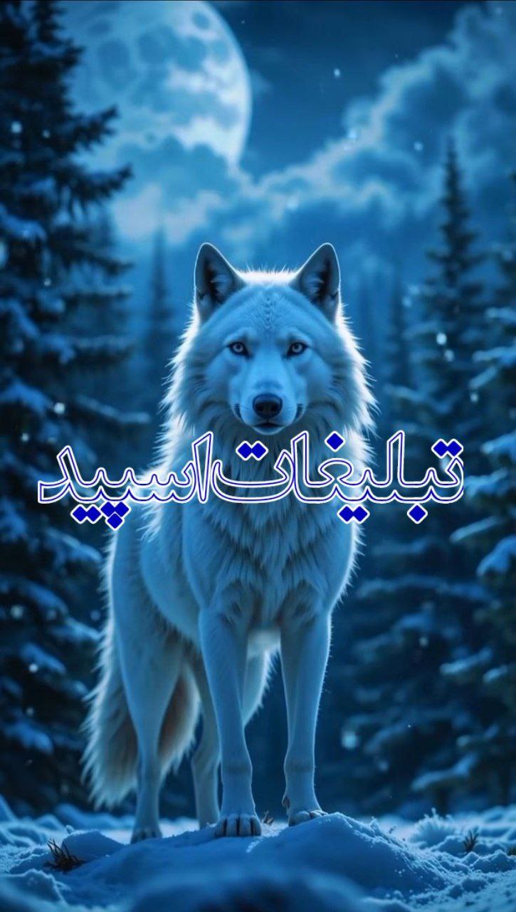 🦋فصل رفاقت🦋 (1)