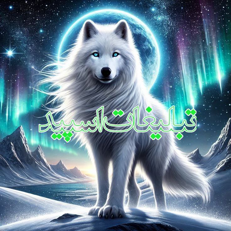 🫀✨Gp. Shabha ye shomal✨🫀 (15)