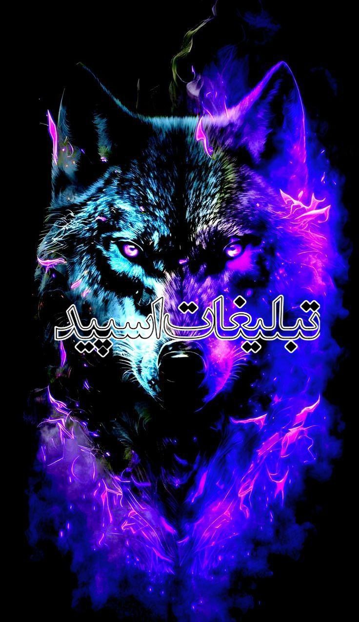 گروه دورهمی تگزاس (48)