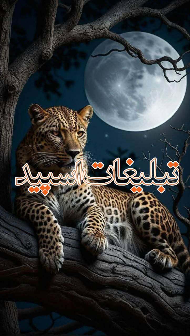 Real Friends 🎀 (2)