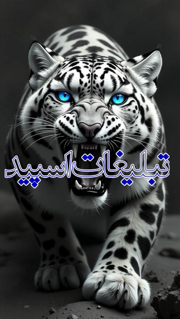 تبلیغات