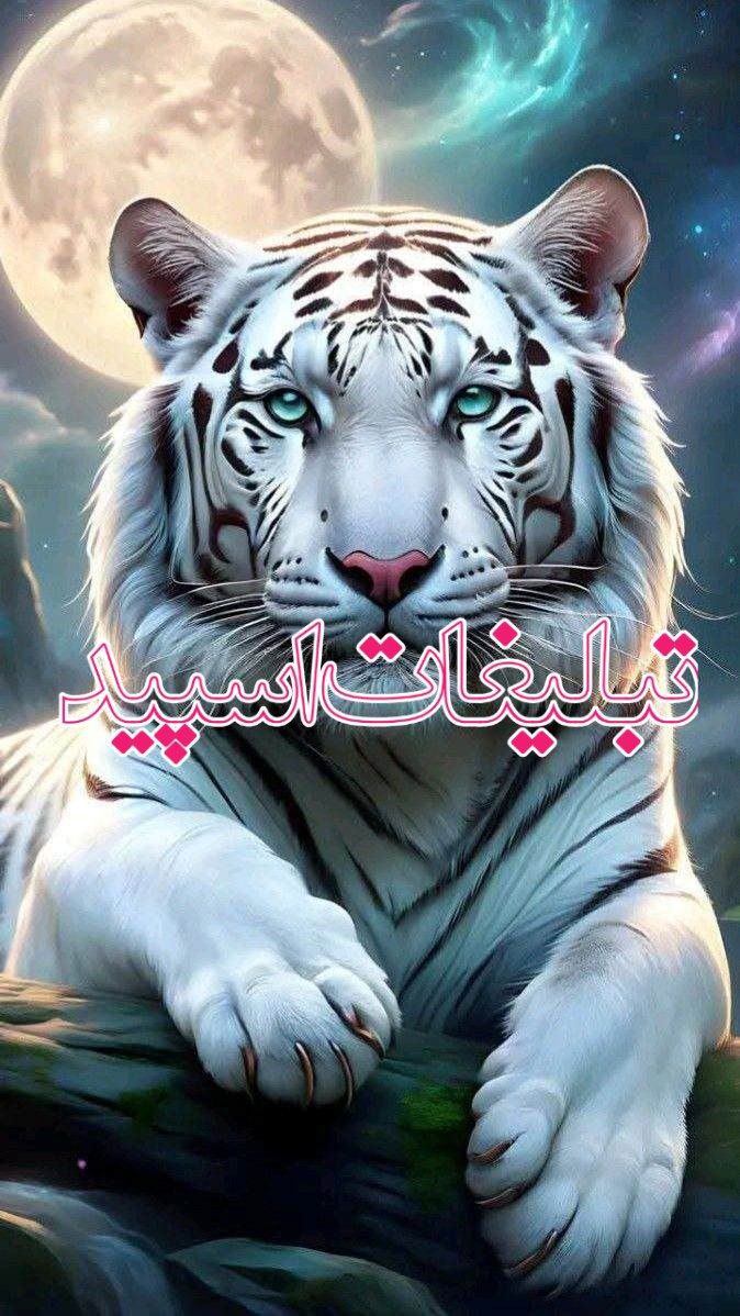 ⟦🌙⟧---🐾𓎂𝐖𝐇𝐈𝐓𝐄 & 𝐁𝐋𝐀𝐂𝐊 ⃟⃘݊𓎂🐾---⟦🌙⟧