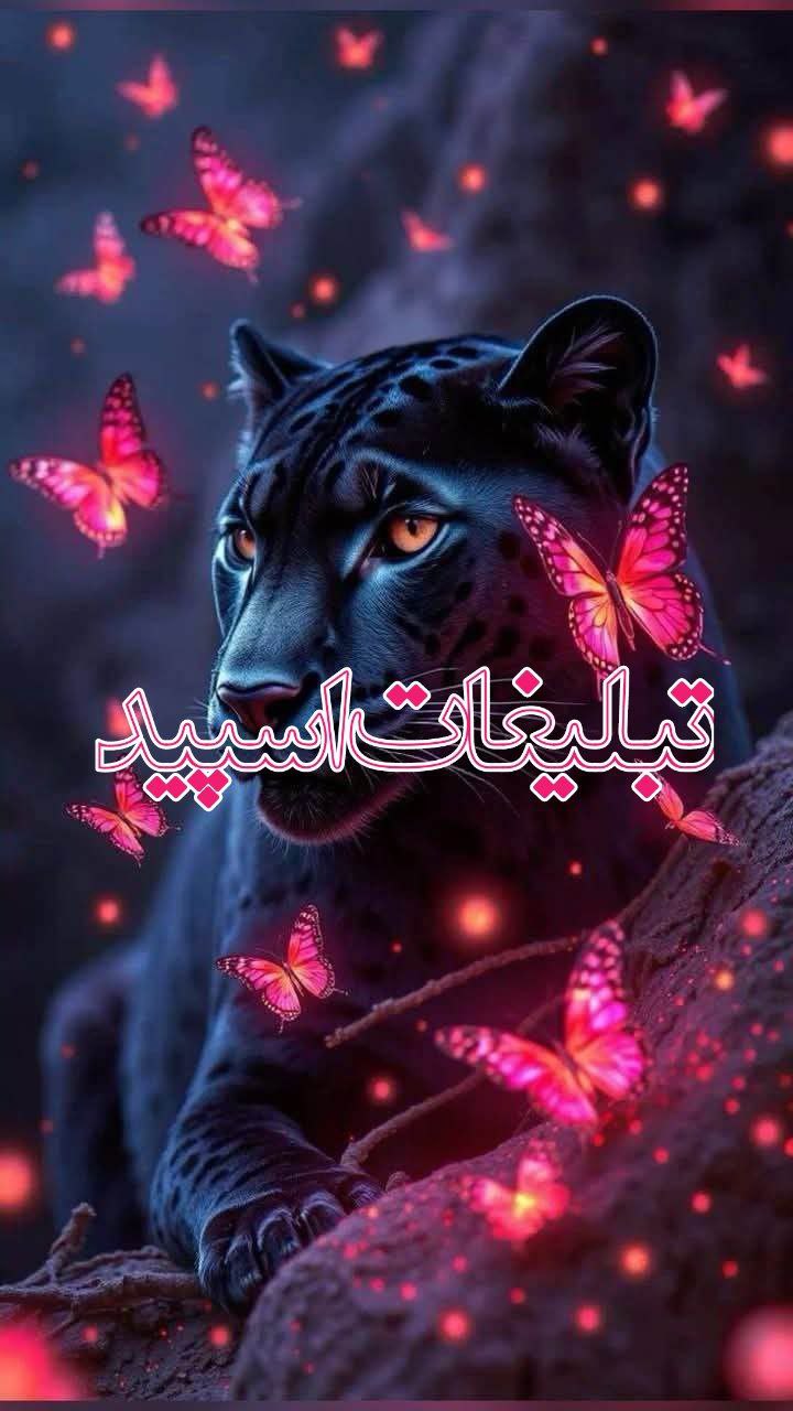 ›▴⸼ⓒ𝐔𝐓Ｅ ĻคŇ𝕕 ▹⸼₍𝐽𝑎𝑁₎ ͛▴⸼🩵 (7)