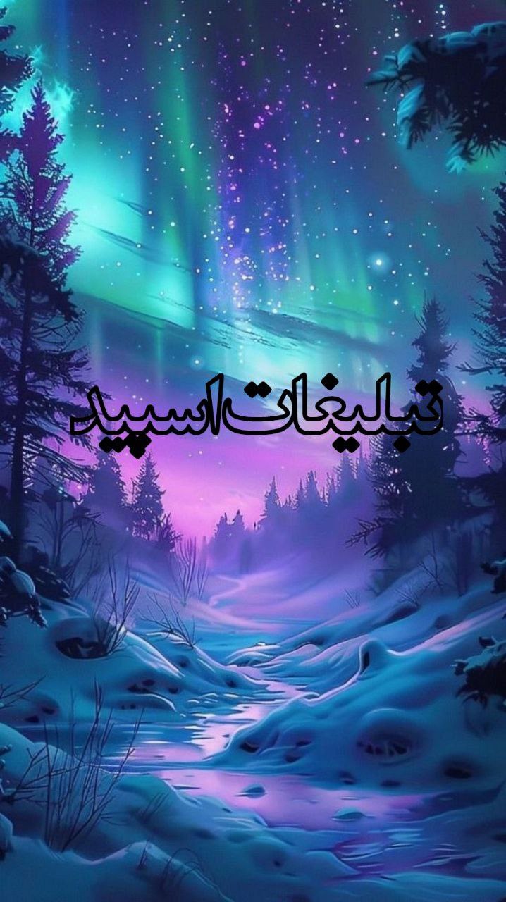 وایلد ولف (79)