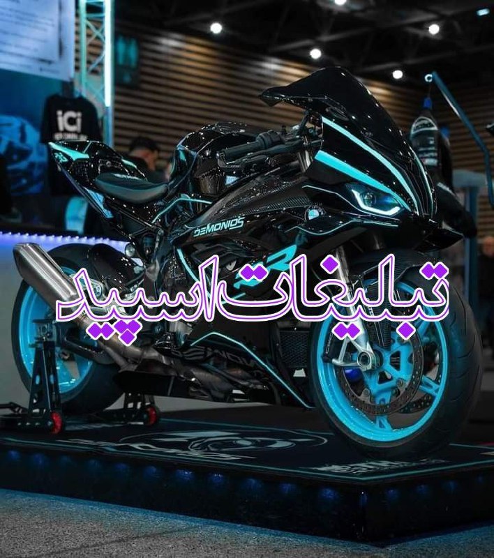 وایلد ولف|WILD WOLF (16)