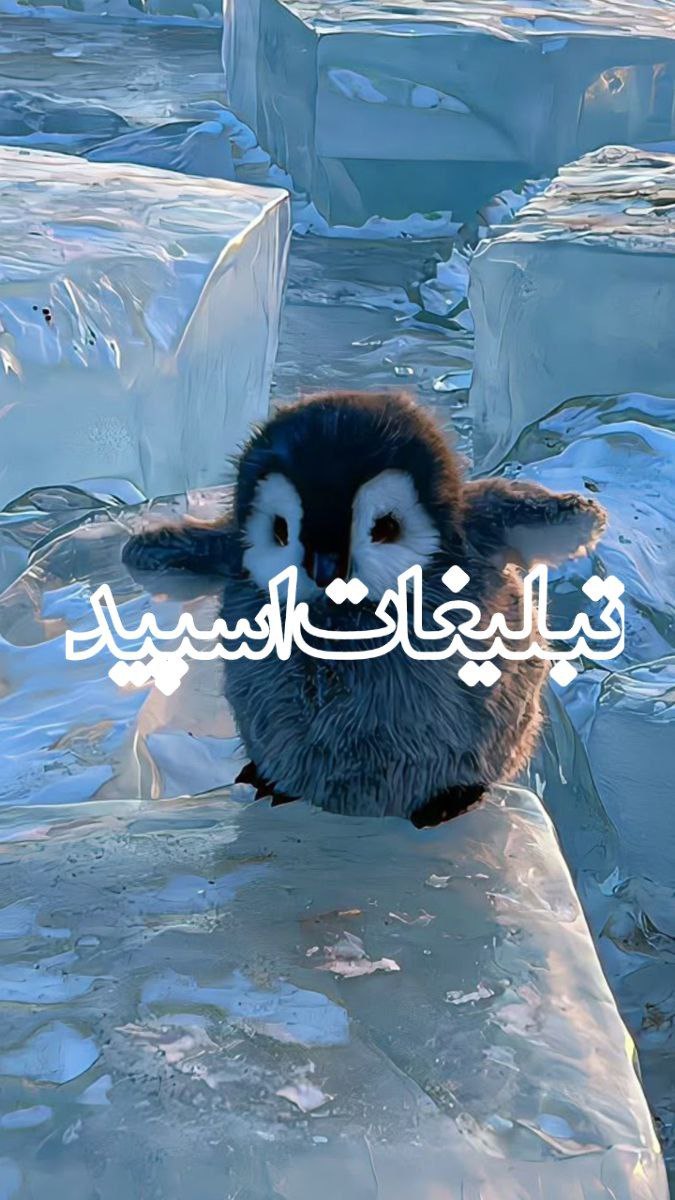 «مـامُنحَصِـربـه فـَردیـم» (3)