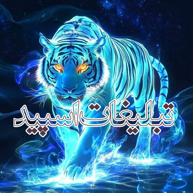 بهترین دوستان (2)