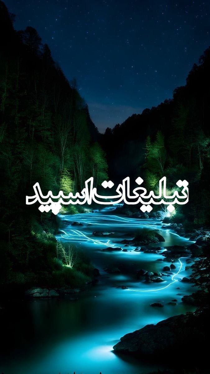 ولف سیتی (3)