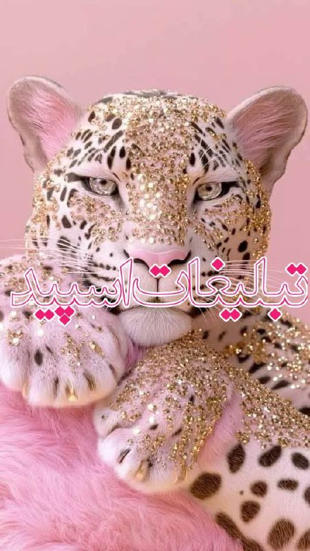 🪴🧚‍♀چت پونه های وحشی🧚‍♀🪴