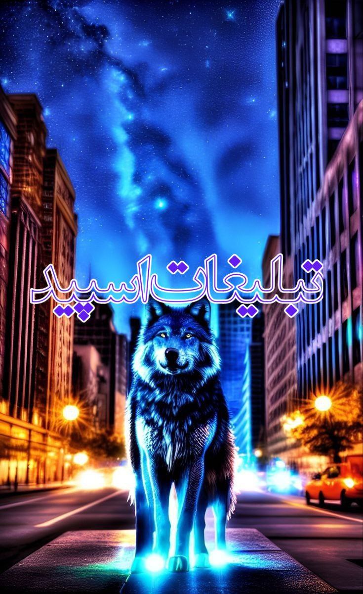 کافه چت شب‌های بی تو