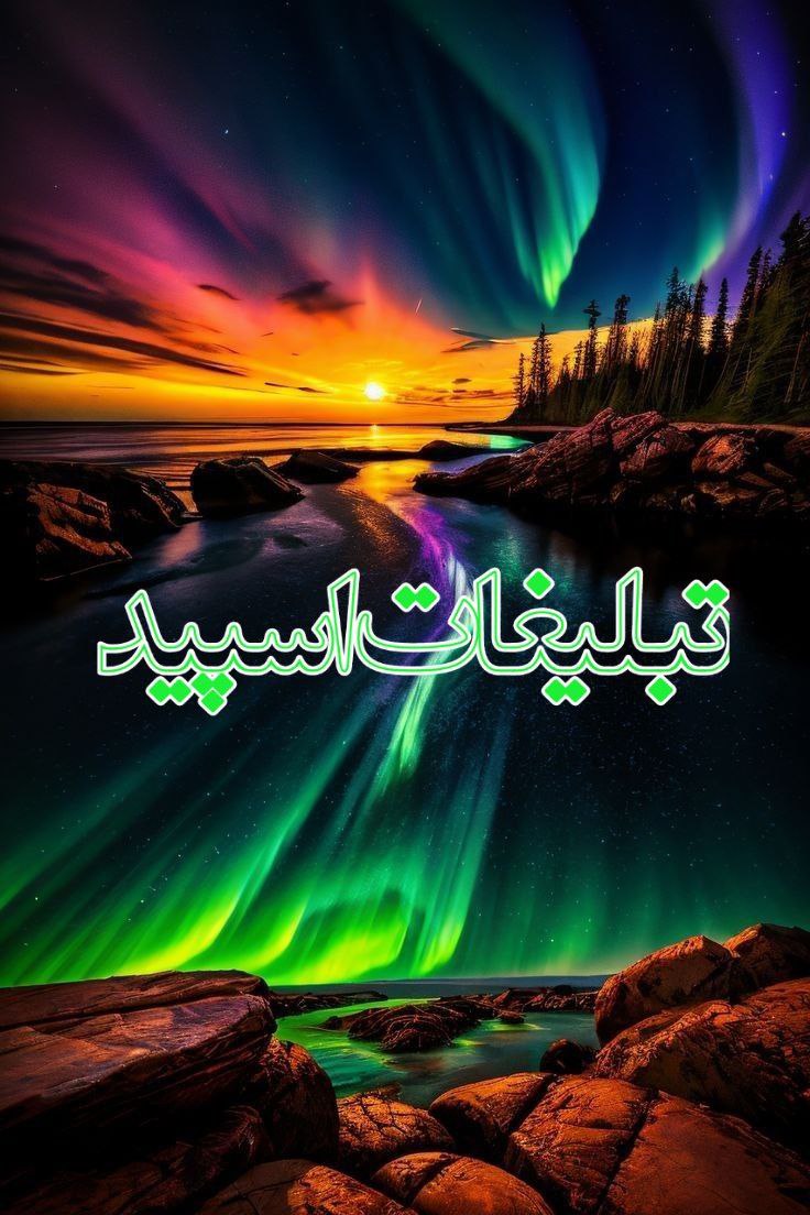 وایلد ولف (255)