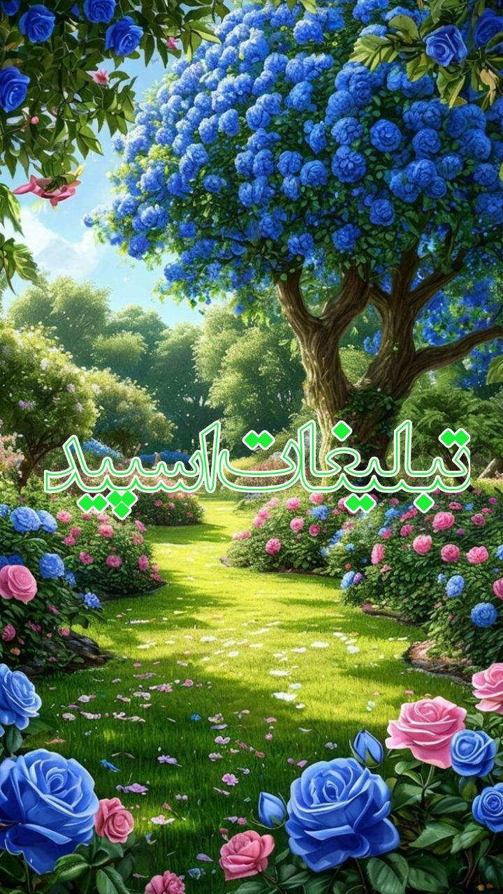 تبلیغات