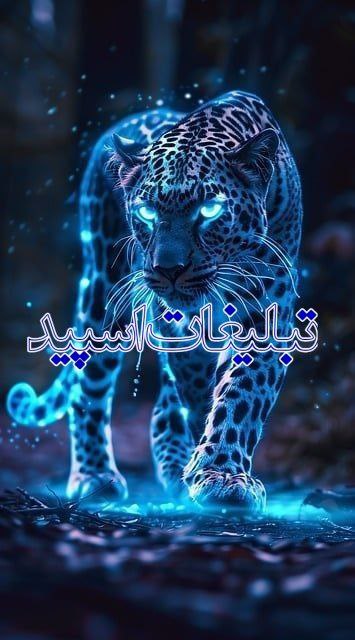 زیورالات و همه چی کده تک (1)