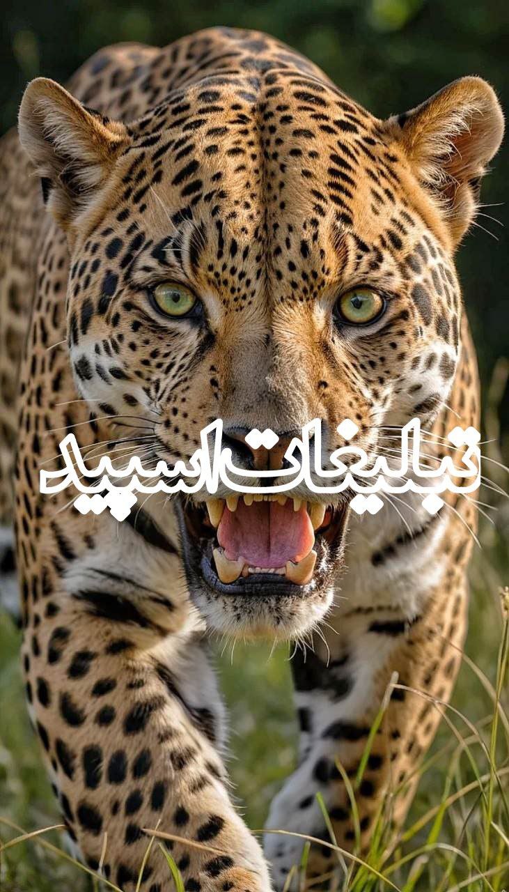 دورهمی✨🩷