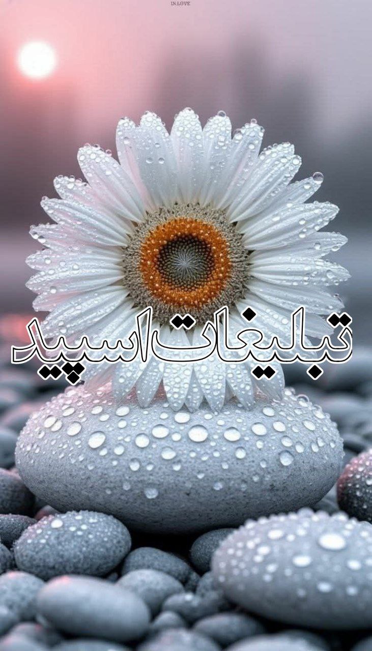 𝑬𝒔𝒉𝒈𝒉𝒆 𝑨𝒃𝒂𝒅𝒊 (1)