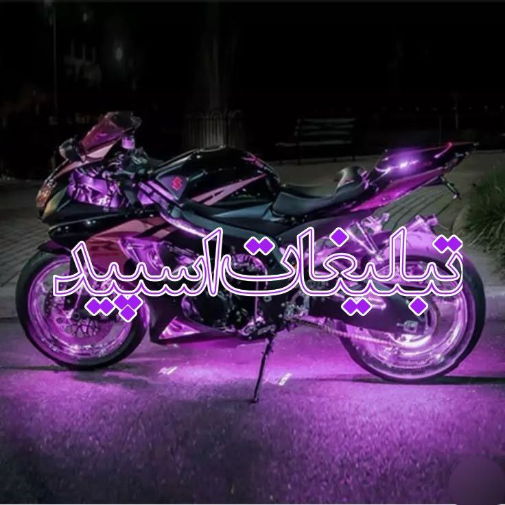 وایلد ولف|WILD WOLF (64)