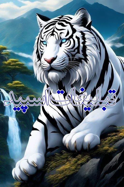 مکزیک سیتی
