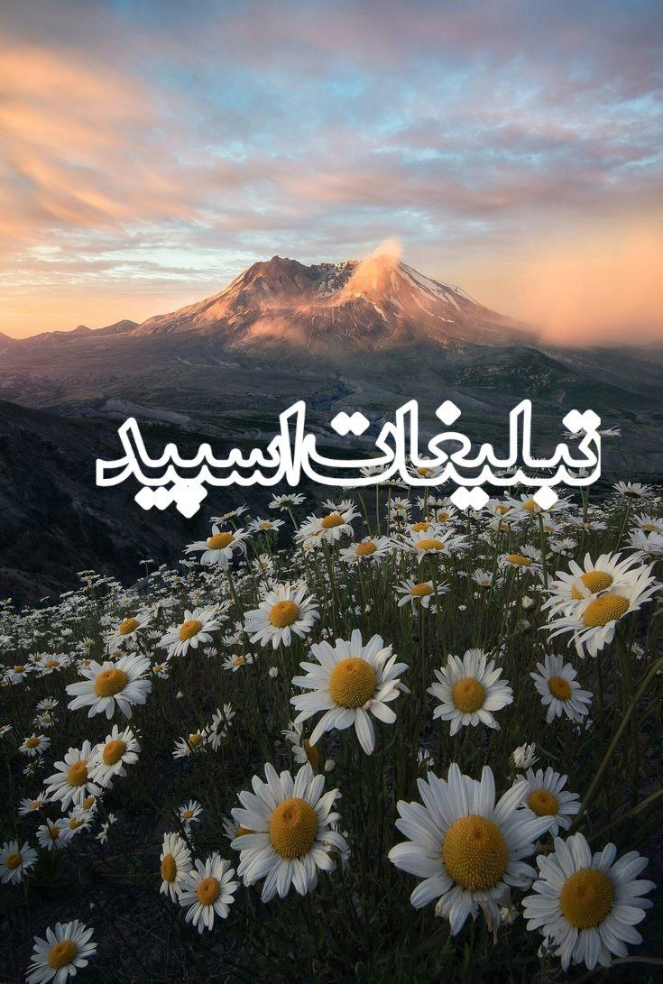 ⋆𝅦𝆉𓄂ꪴꪰشـــ𝑨𝒁𝑹𝑨𝑲𝑯𝑺𝑯آذرخـــ𔒝𓆪 (10)