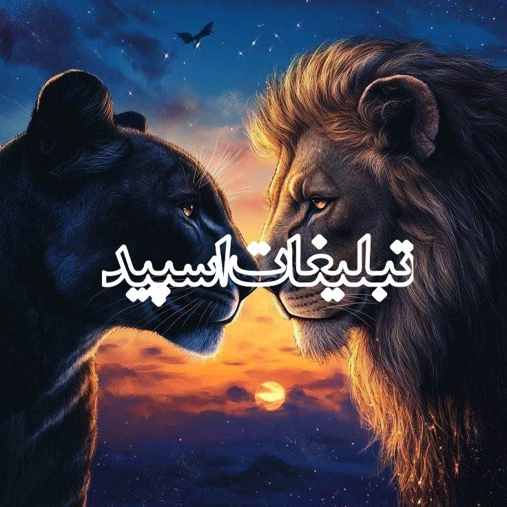 تبلیغات