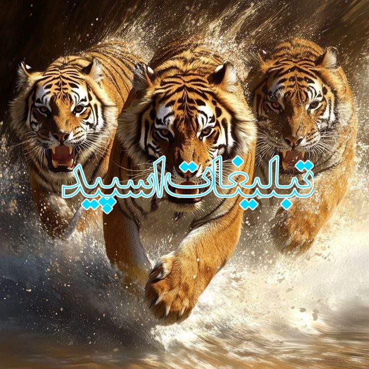 تبلیغات