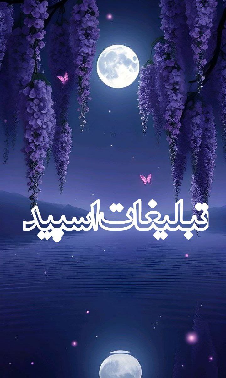 سلطان قلبها
