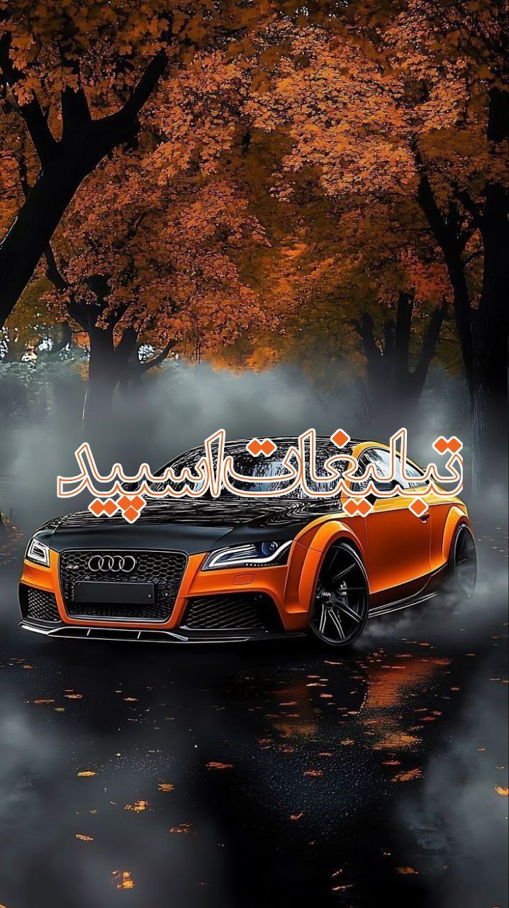 وایلد ولف (180)