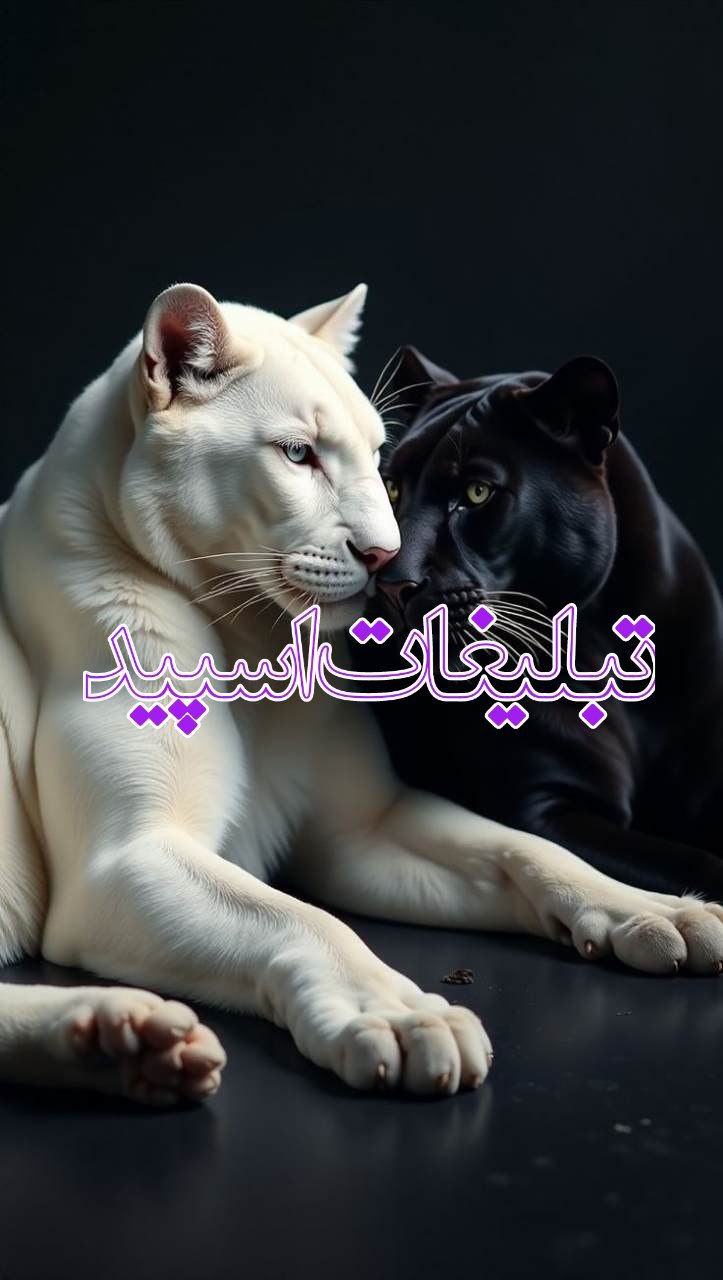 ماه و ستاره