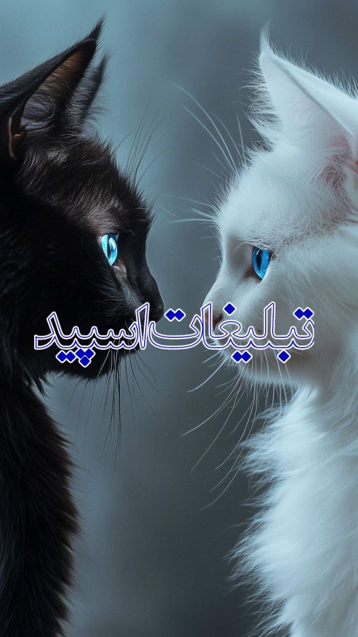 سلاطین تلگرام (2)