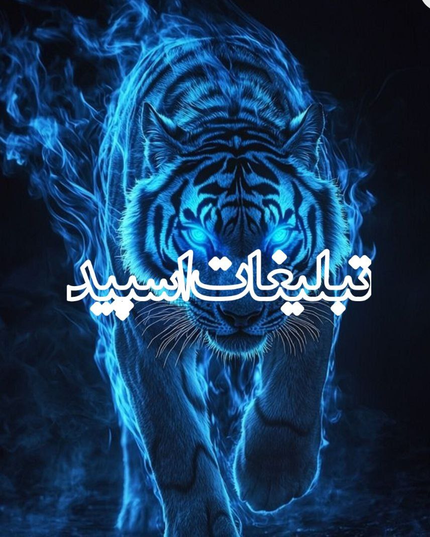 خودمونیا (8)