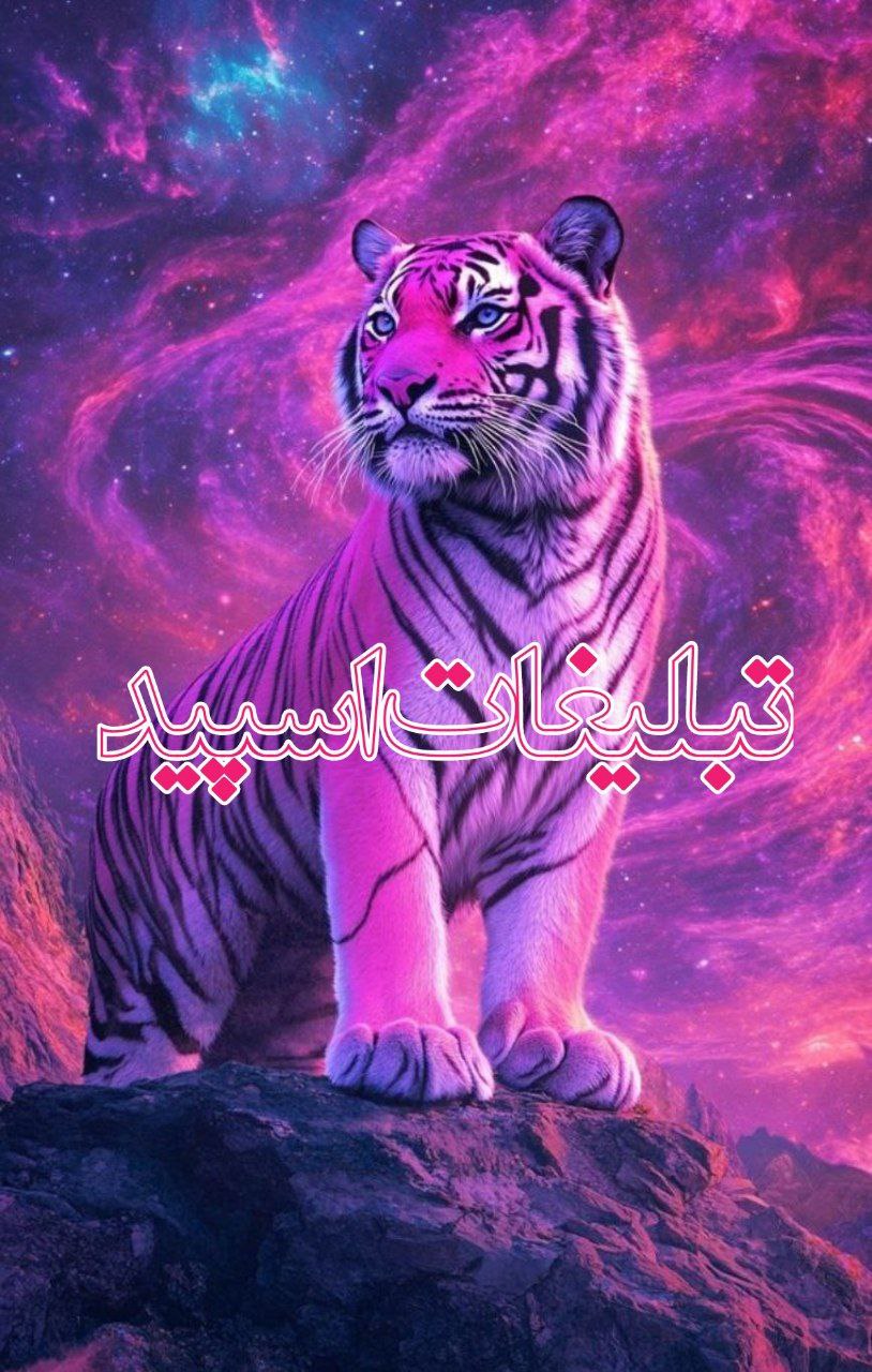 ✨« شِیـدایِ قِصـه و غَـزل »✨ (1)