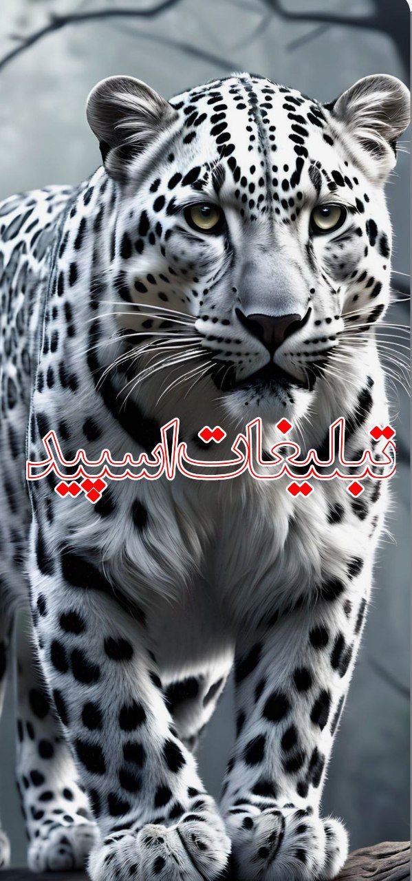کلبه آرامش روان (1)