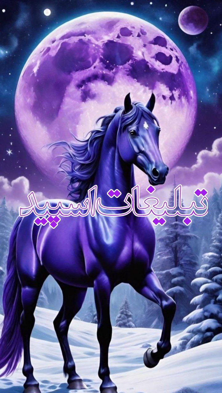 ✨تورک مارالاری✨