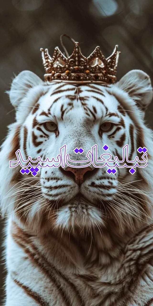 ✨اَِنَِجَِمَِــَِنَِ آلَِفَِاَِ ✨