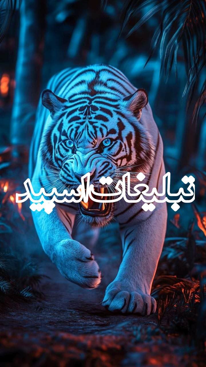 دورهمی دوستان بامرام