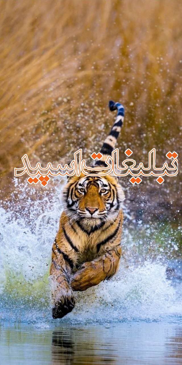 ⋆𝅦𝆉𓄂ꪴꪰشـــ𝑨𝒁𝑹𝑨𝑲𝑯𝑺𝑯آذرخـــ𔒝𓆪 (14)