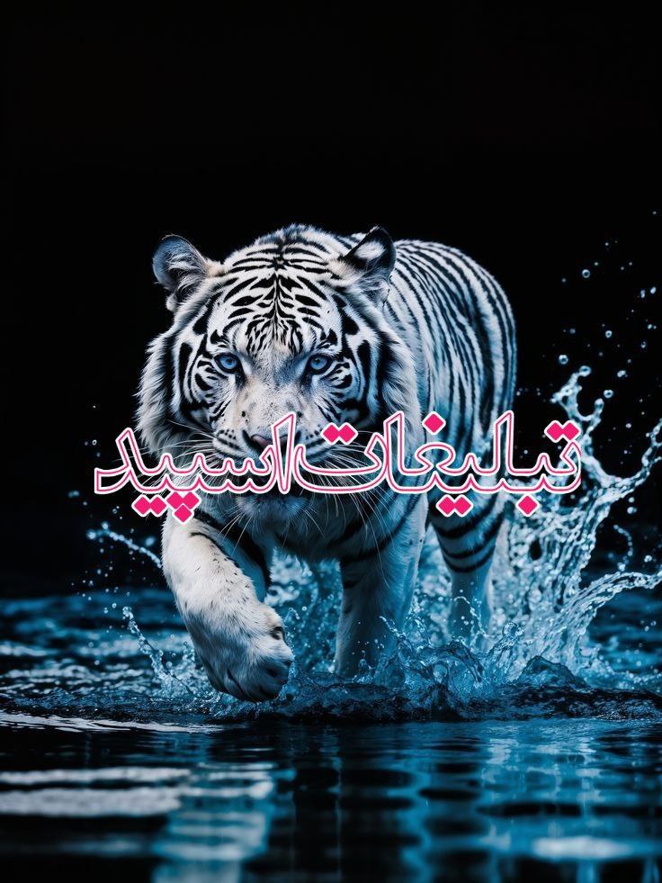 کافه متاهل و مجردها (6)