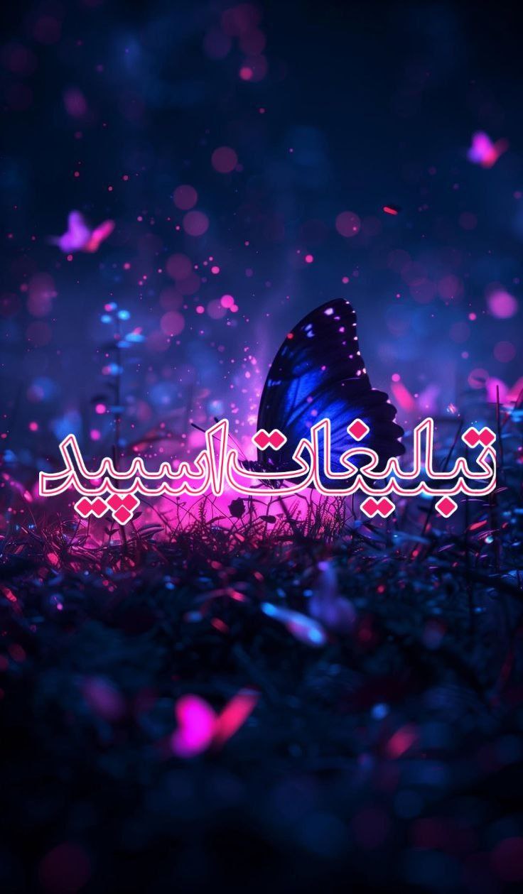 🍓  Private chat  🍓 (1)