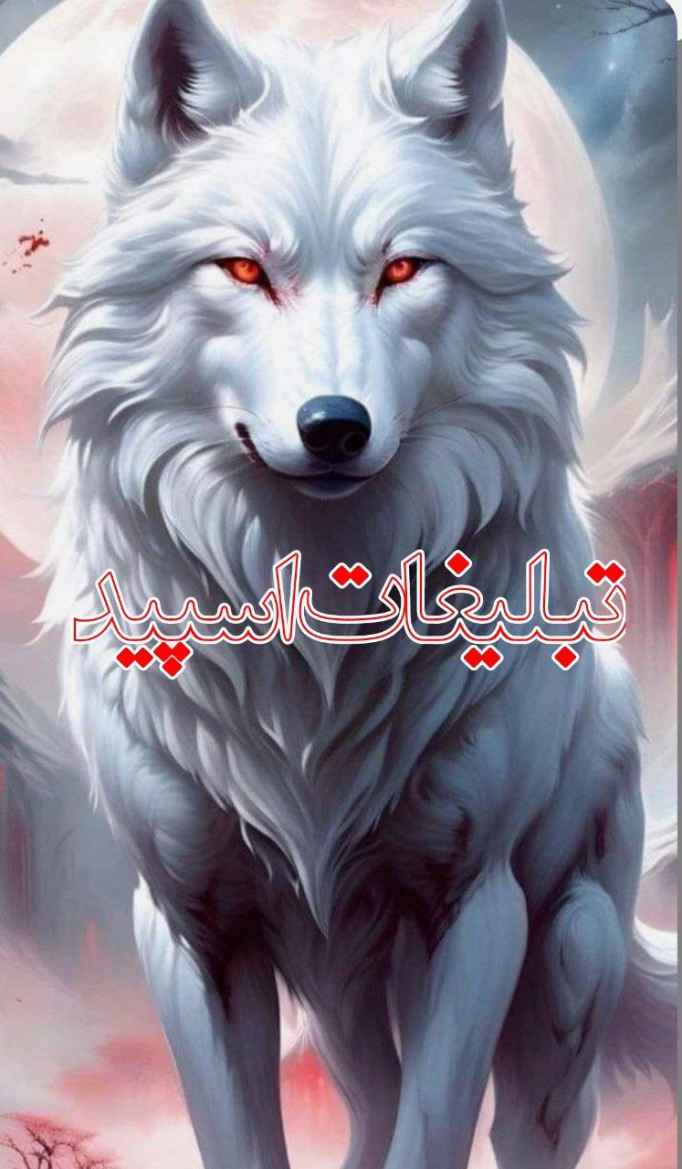 محفل دهه 50,60,70