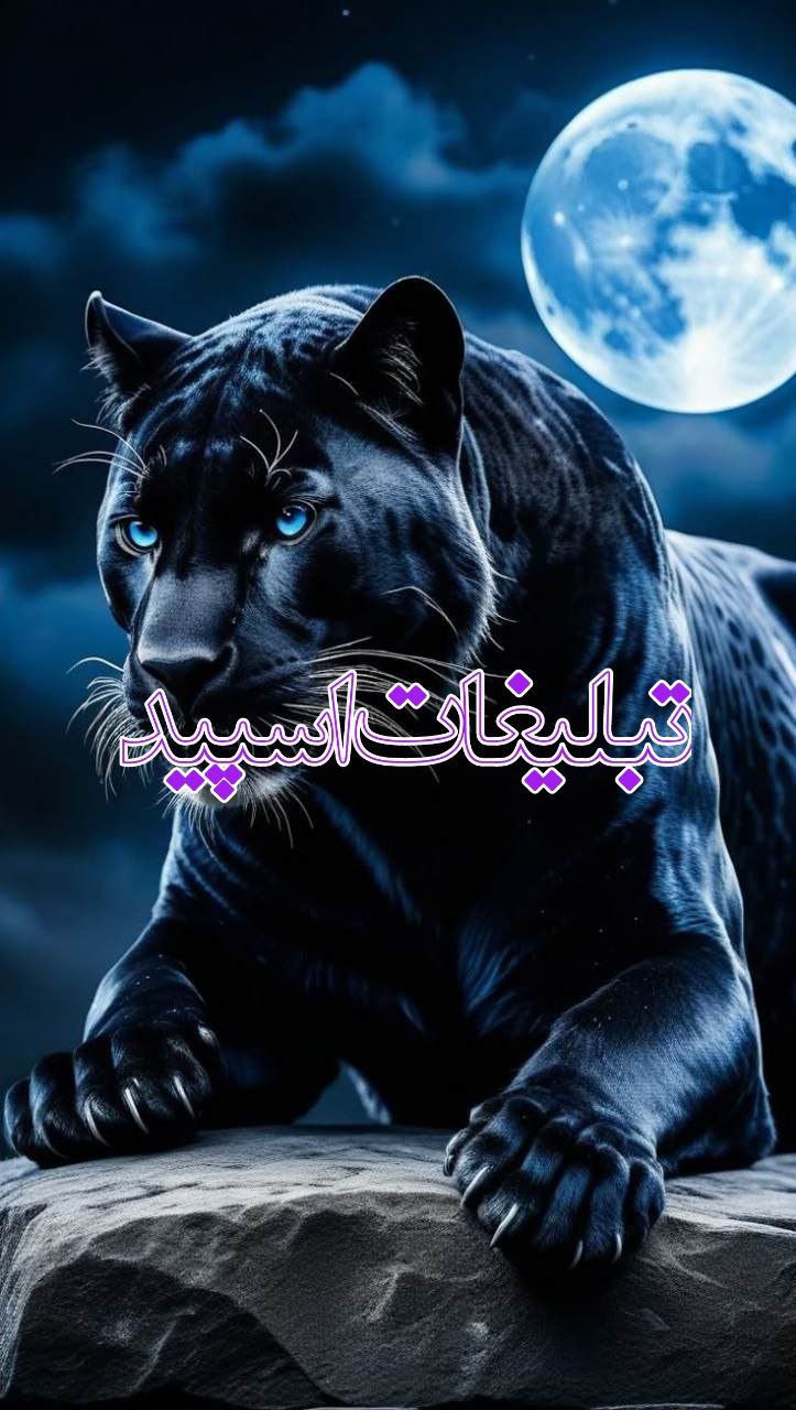𓆩♥𓆪ﮩگپﮩ٨ـﮩبامرامﮩـ࿔ྀ (2)
