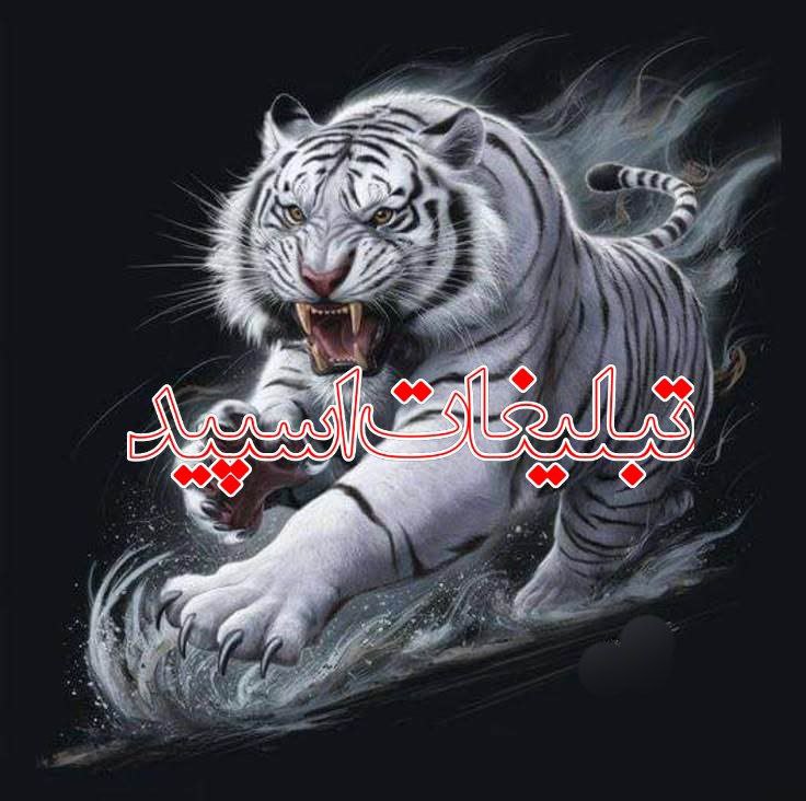 گپ باحال شیراز