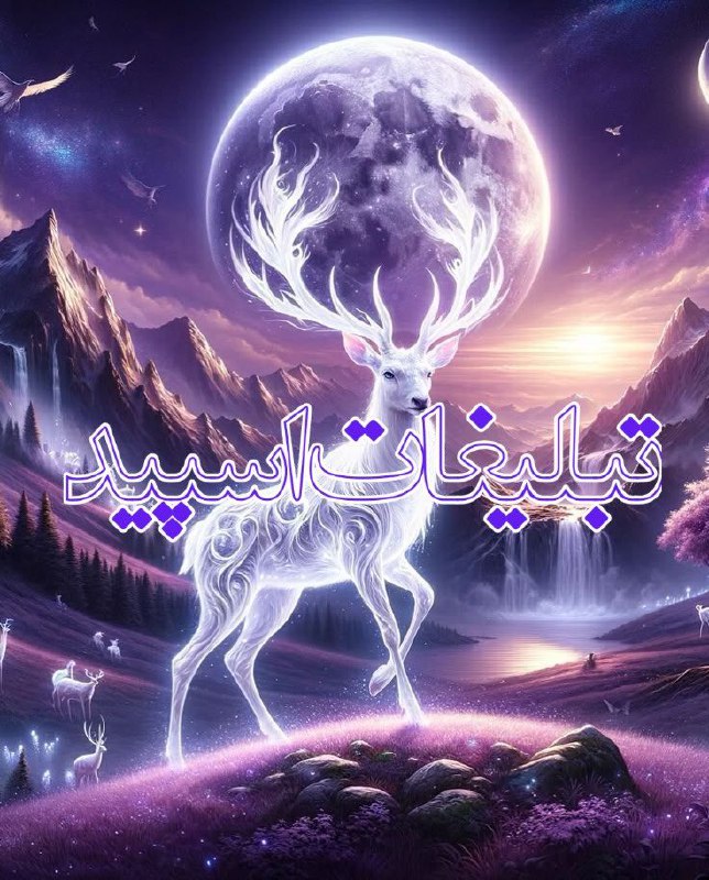 چتکده مجرد متاهل ها