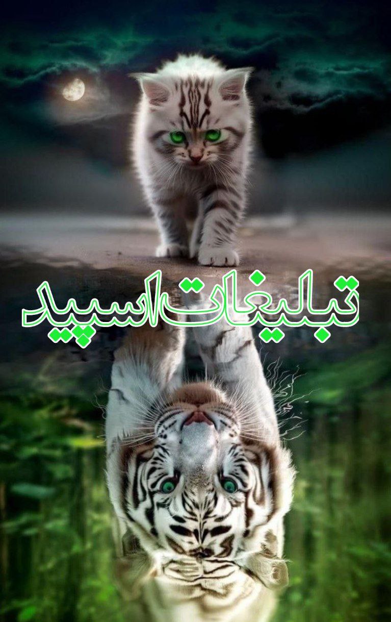 وایلد ولف (131)