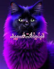 تبلیغات