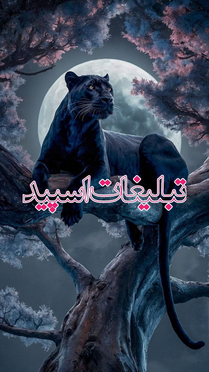 𝗥𝗼𝗶 | خــانــواده