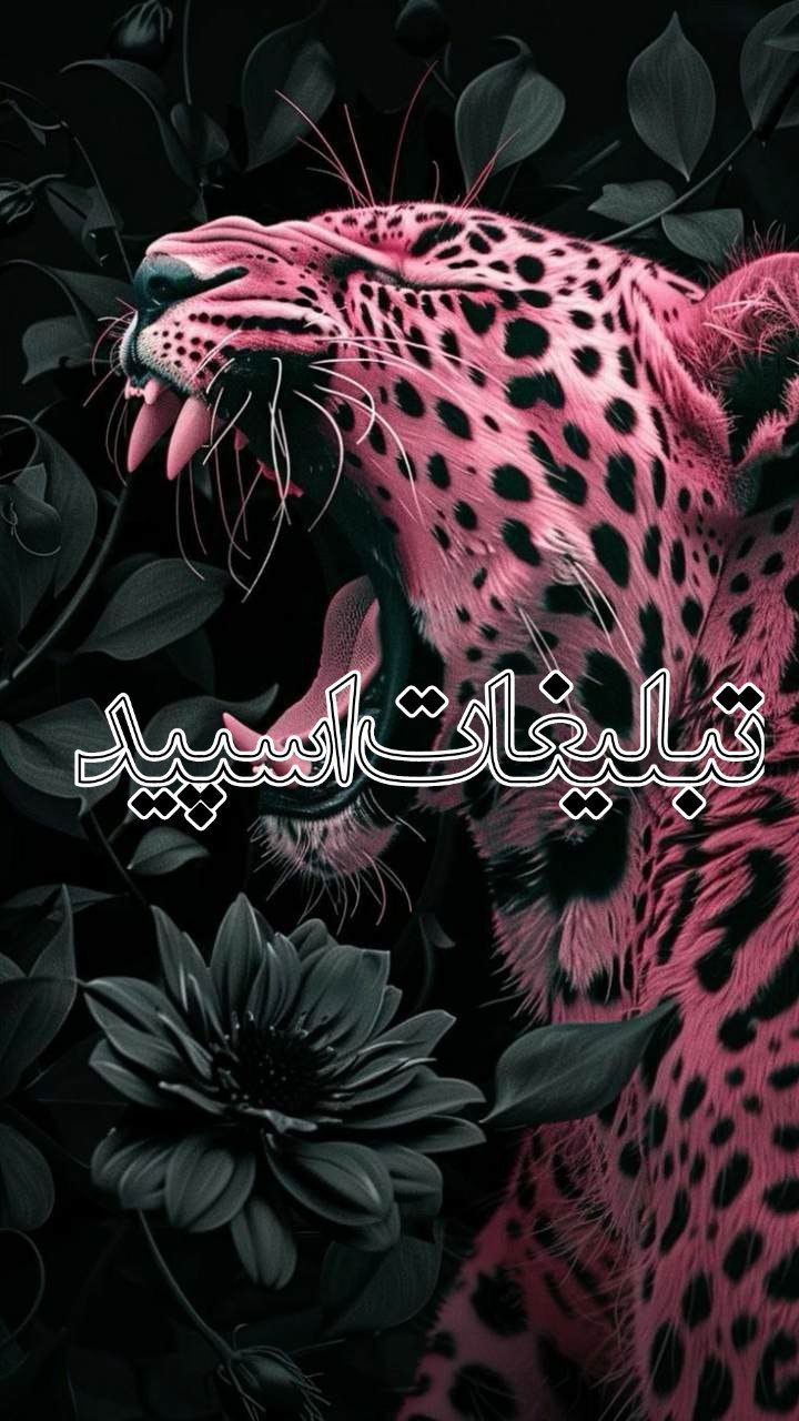 کافه دوستی 😎