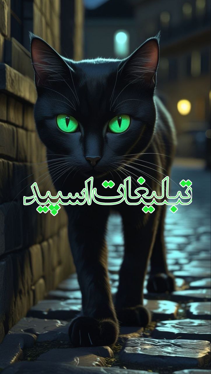 ❤️کلبه دوستی ❤️ (2)